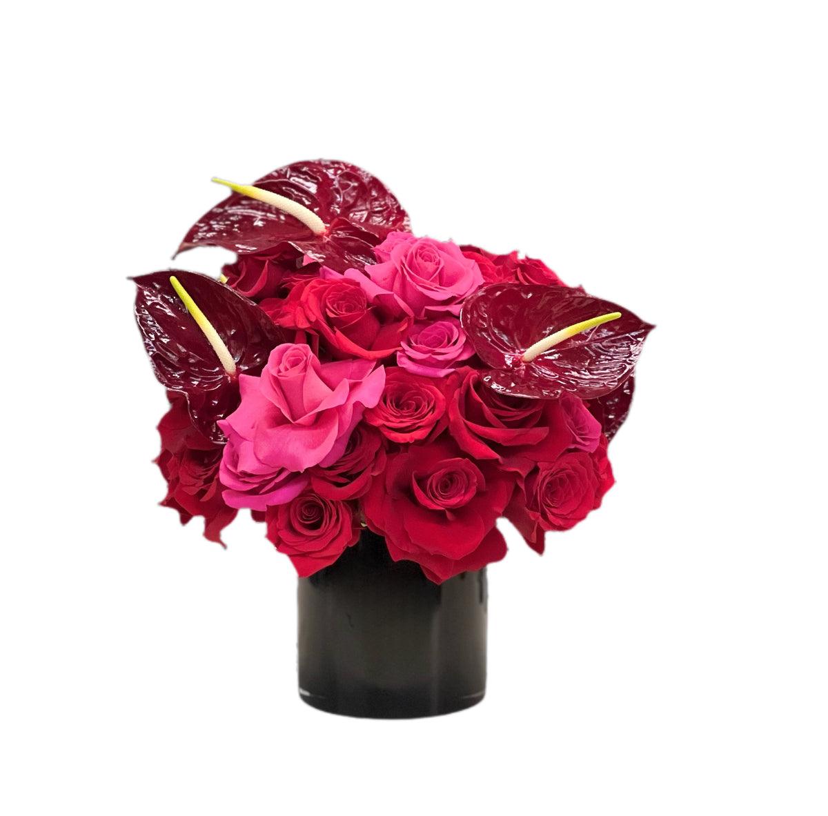 Beyond Beautiful Oscar Maas